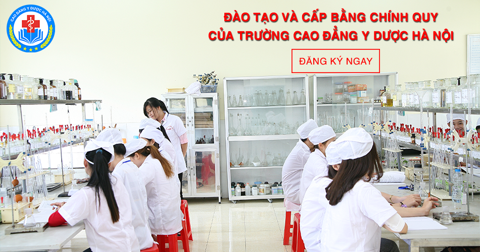 Sinh viên theo học Cao đẳng Y dược Hà Nội nhận được nhiều lợi ích