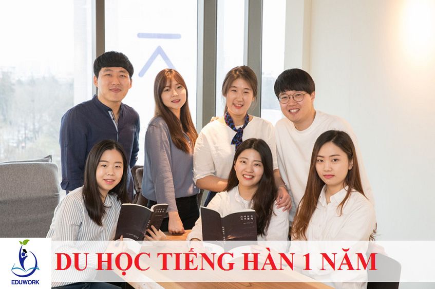 Du học tiếng Hàn 1 năm