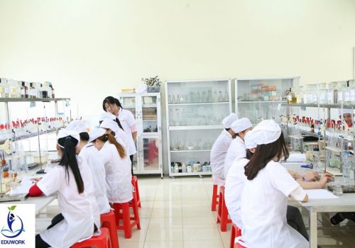 các trường liên thông đại học dược