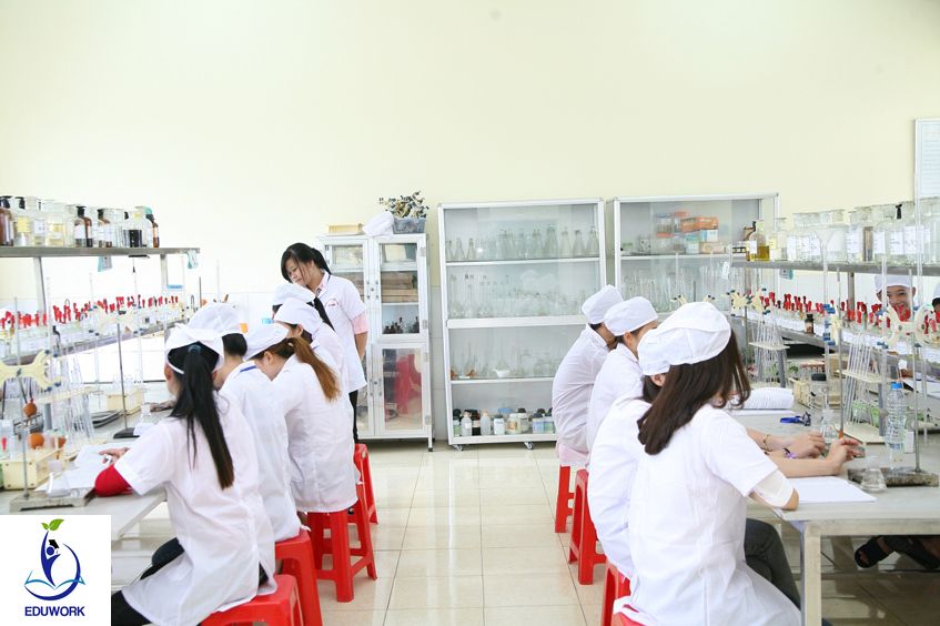 các trường liên thông đại học dược