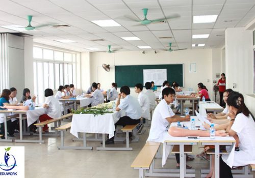 có nên học văn bằng 2 dược không