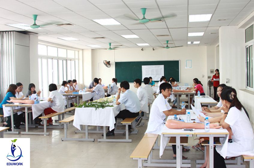 có nên học văn bằng 2 dược không